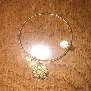Alex and Ani